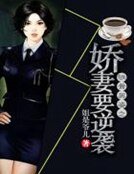 鐵骨英姿之派妻要逆襲