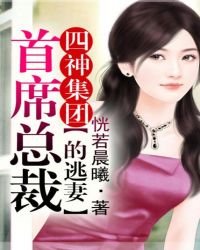 四神集團①:首席總裁的逃妻