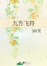 九方飞符