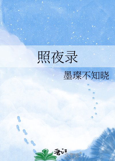 《照夜录》